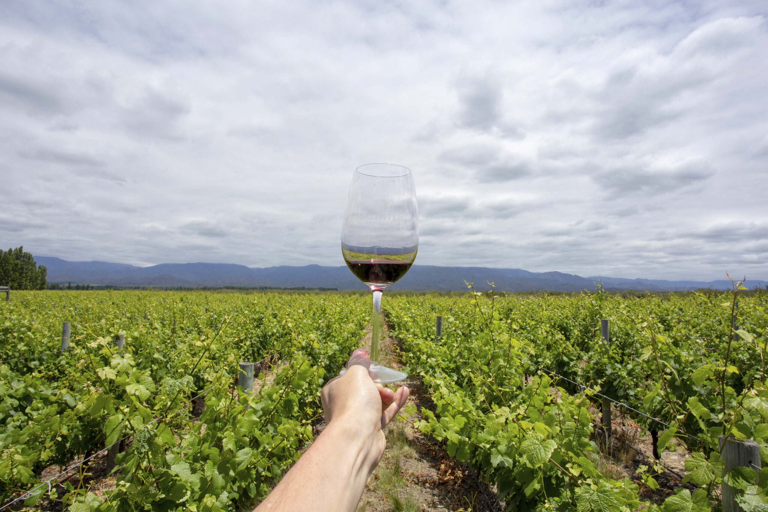 tour de bodegas Mendoza