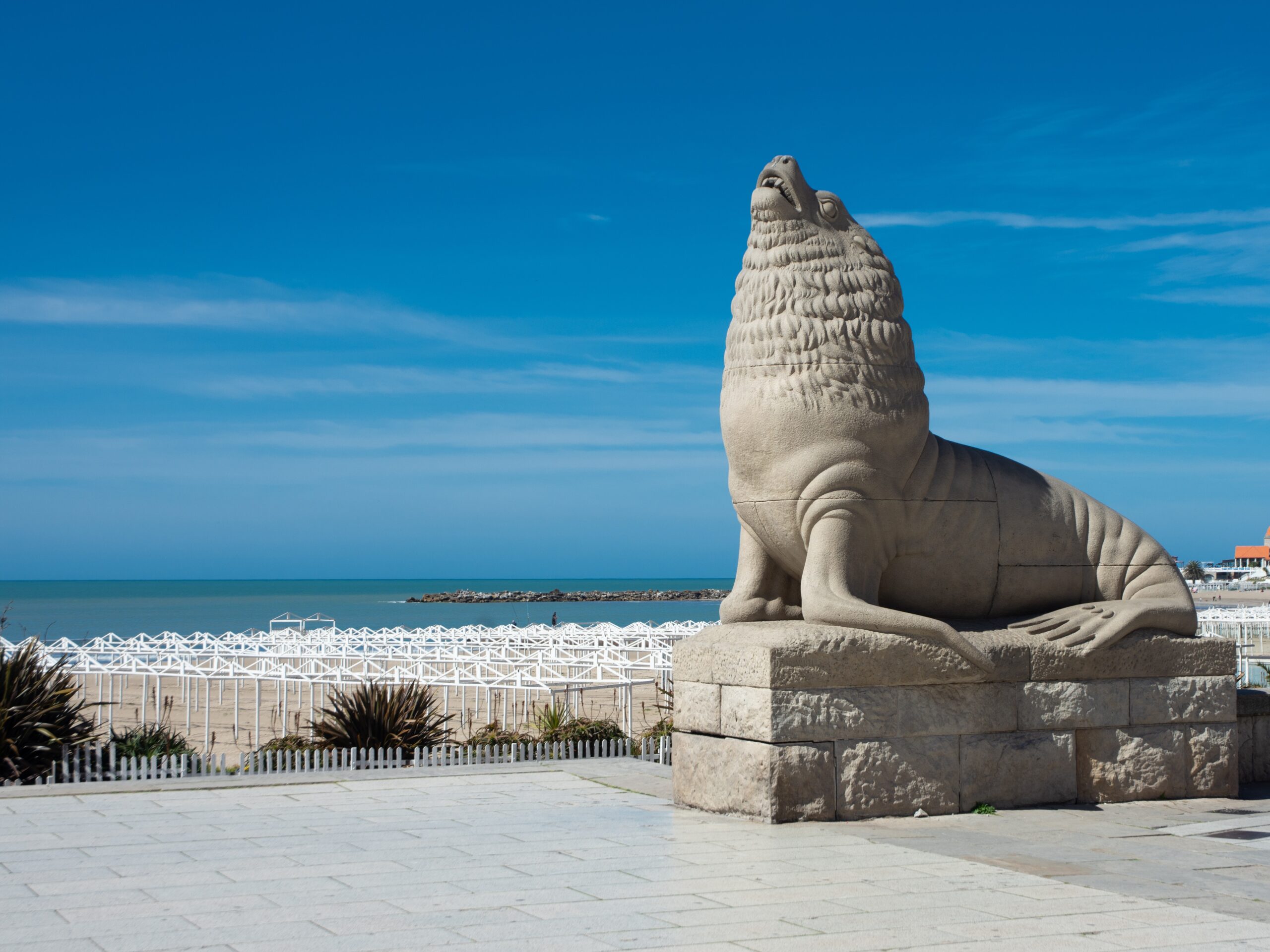 Lobo mar del plata