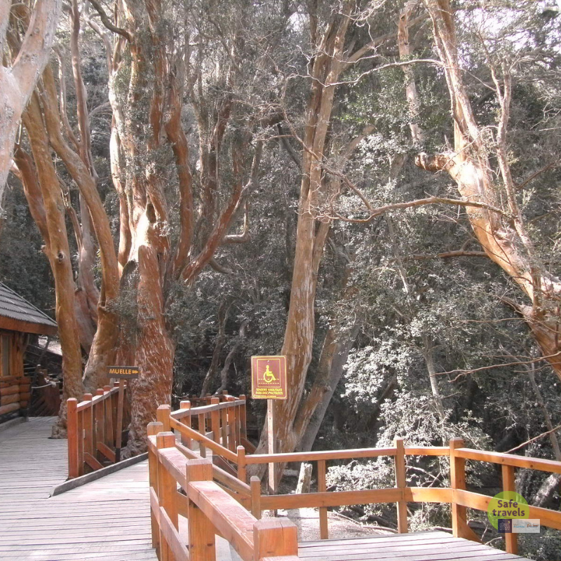 pasarela en bosque de arrayanes