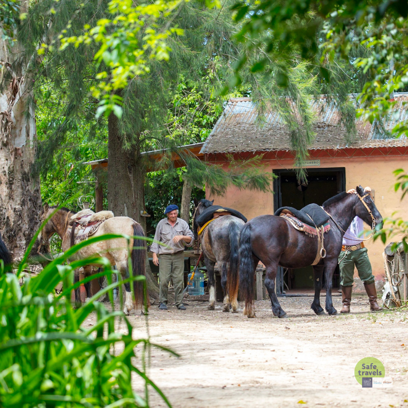 hombre con caballos