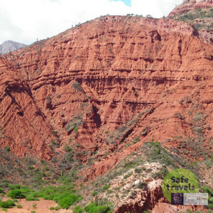 Cafayate